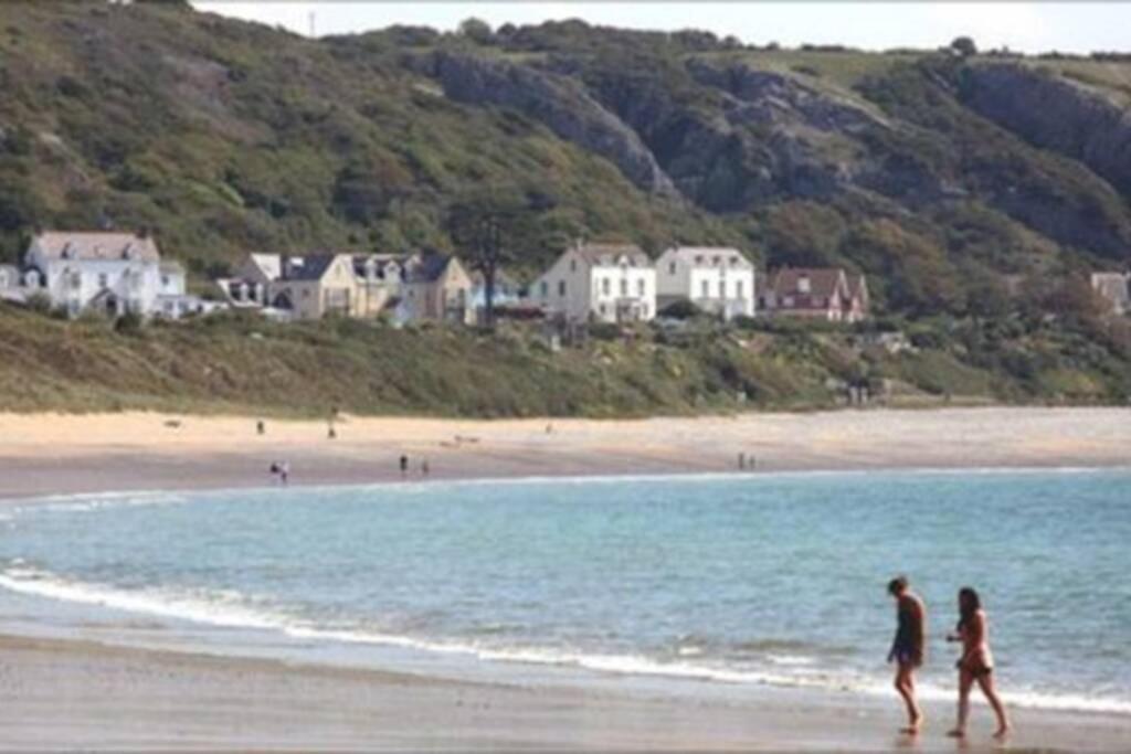 斯旺西Perfect For The Family And Beaches - Gower Cwtch别墅 外观 照片