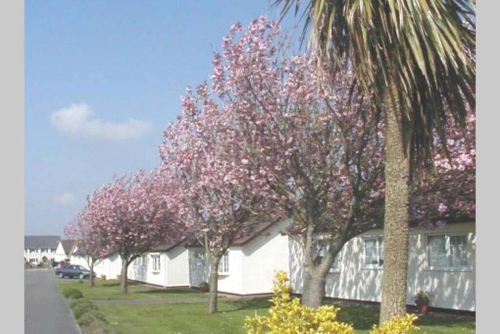 斯旺西Perfect For The Family And Beaches - Gower Cwtch别墅 外观 照片