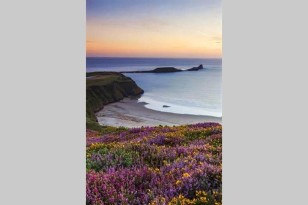 斯旺西Perfect For The Family And Beaches - Gower Cwtch别墅 外观 照片